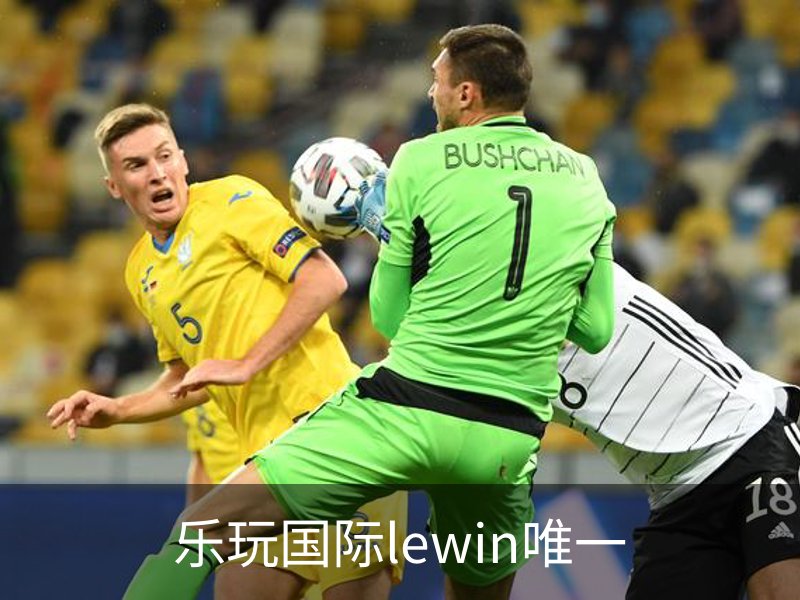 乐玩国际lewin唯一简介